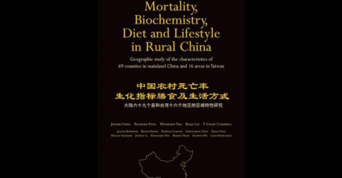 Was The China Study A Well Researched Book?