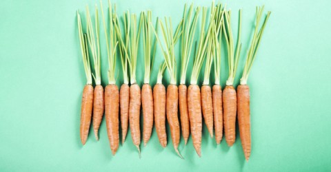 Carrots: What's Up Doc?