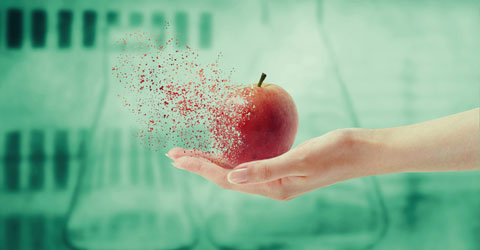 Reductionist Paradigm: The Cause of Nutrition Confusion