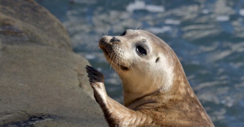How One Lecture Made an Ocean of Difference