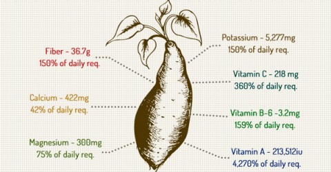 How sweet is a sweet potato