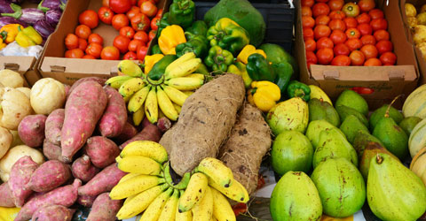Food Lessons from the Dominican Republic