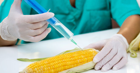 The Ultimate Food Fight Between Science and Technology