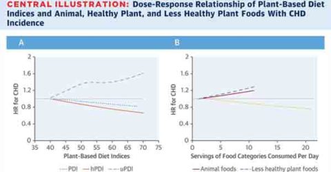 The Quality of Your Plant-Based Diet Matters for Heart Disease Risk