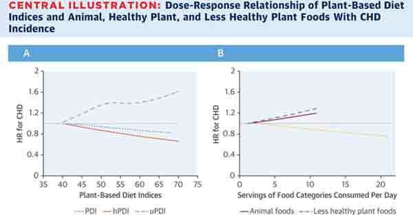 The Quality Of Your Plant Based Diet Matters For Heart Disease Risk