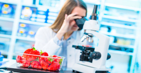 Scientific Reductionism Distracts from Whole Food, Plant-Based Message