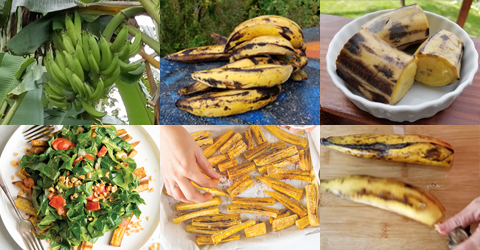 5 Ways to Cook and Prepare Ripe Plantains - Center for Nutrition Studies