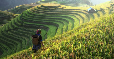Observations From China: What Happened to The Plant-Based Diet?