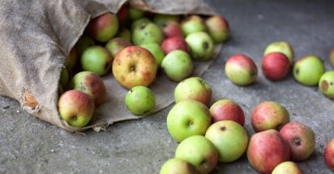 How to Become a Food Waste Warrior - Protect Your Budget & the Earth