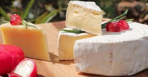 Scientific Review Finds Biological Link Between Dairy Consumption and Obesity