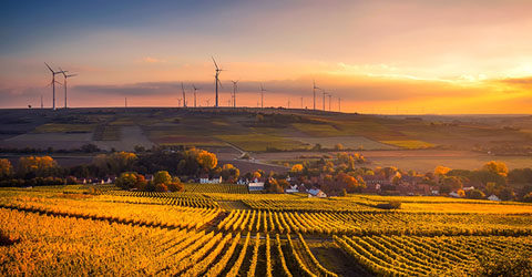 Food and the Environment: The Missing Link