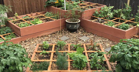 Step By Step Guide On How To Create A Square Foot Garden Center For Nutrition Studies