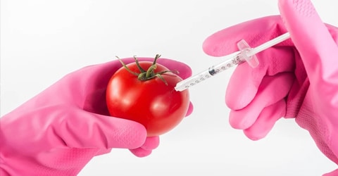 Future Food Trends: What Will Plant-Based Diets Look Like?