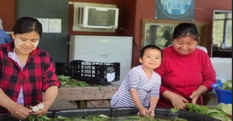 Transplanting Traditions Grows Food With Refugees Farmers in a Way that Honors Their Culture