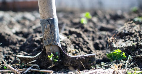 How to Start a Sustainable At-Home Garden