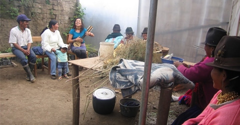 AmaruArts Preserves Culture & Diversity of Life in the Andes With Agriculture & Nutrition