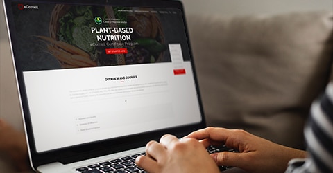Become an Expert on Plant-Based Nutrition & Earn Your Certificate